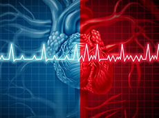 Fibrilação atrial e estimulação fisiológica estão entre os temas de destaque do 77º CBC
